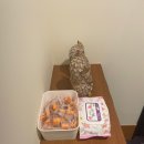 카페포유 이미지