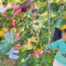 가뫼골마을 이미지