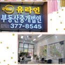 주식회사바로부동산중개법인 이미지