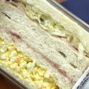 237회오리오므라이스 | 이번 주 주간 일기 🐾 아직 맛있게 먹는 것도 새롭고 신기한 것도 많아요😆
