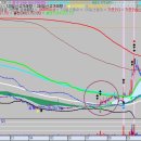 (핵심秘訣) 차정1,2번 자리 매매법 - 엘리엇 1-4파 리딩 - 씨피시스템 새로닉스 티로보틱스 삼현 일승 현대차 한미반도체 이미지