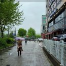 족슐랭가이드 | 양재맛집 족슐랭 푸짐한 한상 추천