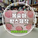 대명농장 | 복숭아박스제작 흔한 상자 대신 이것 바꿨더니 주문 폭주한 이유