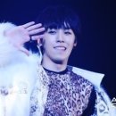 개, 이쁘다 이미지