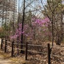 후곡공원 이미지