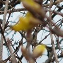 청화경로당 이미지