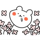 (주)카페지 이미지