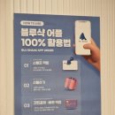 블루샥판교