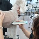 부산미용원