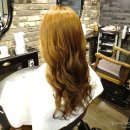 미스터장미용실 이미지