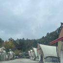 포천개울가 이미지