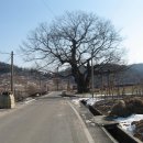 지경터경로당 이미지