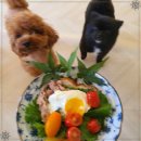 우리집 반려견 이해하기(행동코칭) | 강아지교육, 반려견훈련 전문 ‘엄마 잘 다녀와’ 내 반려견의 마음까지 이해하는 곳