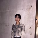 금손 Daum카페