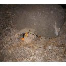 무릉2리(평지동) 이미지