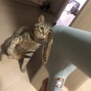 제8요일(주) | [블챌] 7월 둘째 주