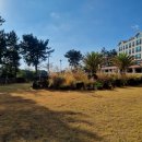 벽산블루밍부동산공인중개사사무소 이미지