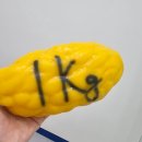 바디핏 EMS | 인계동체형관리 바디컨설팅 더마름다이어트 영통점 바디기기EMS 관리 후기