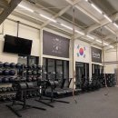 1994 Athlete 이미지