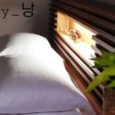 스테이낭