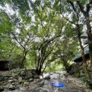 포휴하우스 이미지