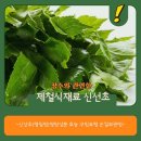 누리녹즙