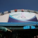 인천종합어시장 이미지