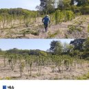 분토골농장 이미지