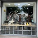 태극안경콘택트(유성구청점) 이미지