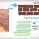 딜릿