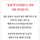 애향유정란