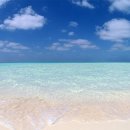 여름아, 부탁해~~ 이미지