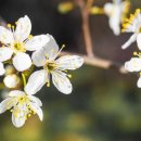 가야하나로약국 이미지