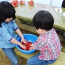 준서네 농장 이미지