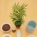 구축농장 이미지