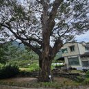 계룡산1박2일 이미지