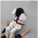 호평 용인대 미르 태권도장 | 호평성인태권도 몸과 마음을 다지는 미르 핏 태권도장
