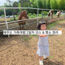 올레목장 | 제주도 2일차 일정 정리! 아기랑 현실 육아 여행 후기 (천지연폭포,대한목장,서귀포 올레시장,소랑풀빌라)