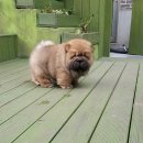 (유)청용 이미지