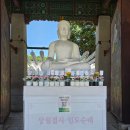 대한불교조계종봉은사서래원 | 서울 절 봉은사 소원초 # 합격기도 명소 소원 비는 방법 + 주차 팁
