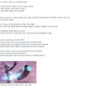 12스튜디오 이미지