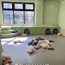 평화유치원 이미지