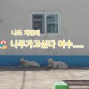 위미3리 이미지