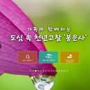 사찰홍보, 현대불교 이미지