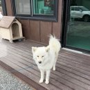 소리풍경 | 풍경소리캠핑장(전북 정읍시) 후기 2026.3.21.~22.