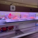 센트럴초밥
