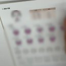 [수서1] 퍼스널컬러 이미지 브랜딩 | 서울 퍼스널컬러 진단 합정 더즈컬러브랜딩스튜디오 골격진단까지