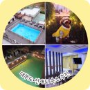 선재 바다펜션 | 대부도 애견동반 펜션 루나비치선재 호텔&amp;펜션 (내돈내산)