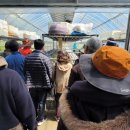 청봉 농장 이미지