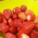 싱싱딸기 이미지